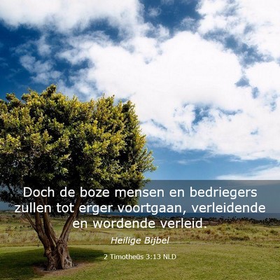 Picture 03 - 2 Timotheüs 3:13 NLD - Doch de boze mensen en bedriegers zullen tot - Bible Verse Picture
