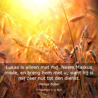 Picture 03 - 2 Timotheüs 4:11 NLD - Lukas is alleen met mij. Neem Markus mede, en - Bible Verse Picture