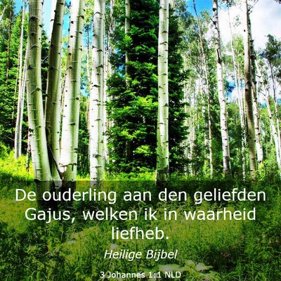 Picture 03 - 3 Johannes 1:1 NLD - De ouderling aan den geliefden Gajus, welken ik - Bible Verse Picture