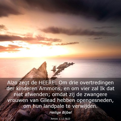 Picture 03 - Amos 1:13 NLD - Alzo zegt de HEERE: Om drie overtredingen der - Bible Verse Picture