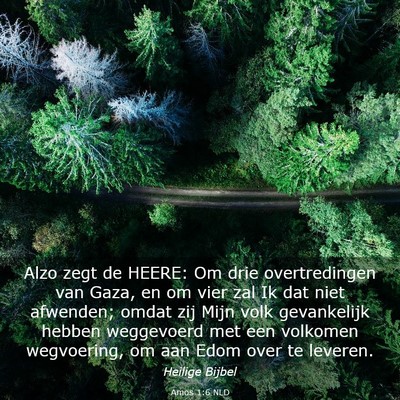 Picture 03 - Amos 1:6 NLD - Alzo zegt de HEERE: Om drie overtredingen van - Bible Verse Picture