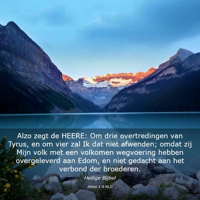 Picture 03 - Amos 1:9 NLD - Alzo zegt de HEERE: Om drie overtredingen van - Bible Verse Picture
