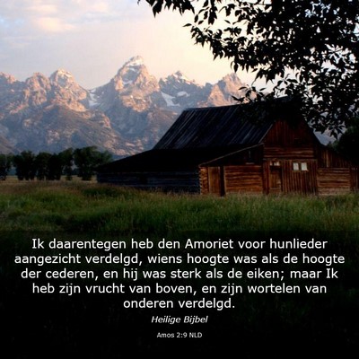 Picture 03 - Amos 2:9 NLD - Ik daarentegen heb den Amoriet voor hunlieder - Bible Verse Picture