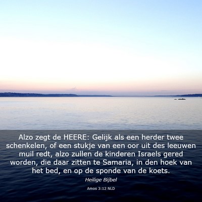 Picture 03 - Amos 3:12 NLD - Alzo zegt de HEERE: Gelijk als een herder twee - Bible Verse Picture