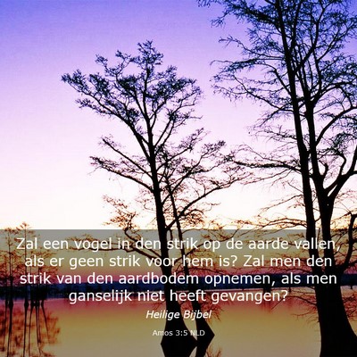 Picture 03 - Amos 3:5 NLD - Zal een vogel in den strik op de aarde vallen, - Bible Verse Picture