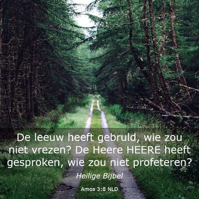 Picture 03 - Amos 3:8 NLD - De leeuw heeft gebruld, wie zou niet vrezen? De - Bible Verse Picture