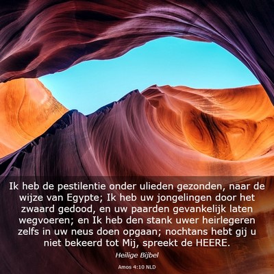 Picture 03 - Amos 4:10 NLD - Ik heb de pestilentie onder ulieden gezonden, - Bible Verse Picture