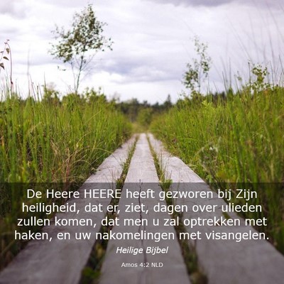 Picture 03 - Amos 4:2 NLD - De Heere HEERE heeft gezworen bij Zijn - Bible Verse Picture
