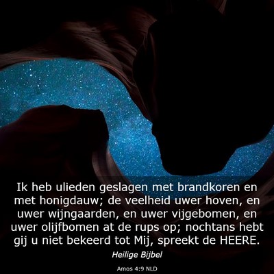 Picture 03 - Amos 4:9 NLD - Ik heb ulieden geslagen met brandkoren en met - Bible Verse Picture