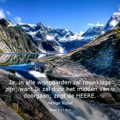 Picture 03 - Amos 5:17 NLD - Ja, in alle wijngaarden zal rouwklage zijn; want - Bible Verse Picture
