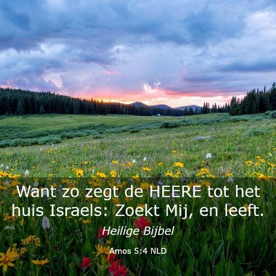 Picture 03 - Amos 5:4 NLD - Want zo zegt de HEERE tot het huis Israels: Zoekt - Bible Verse Picture