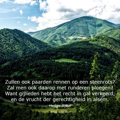 Picture 03 - Amos 6:12 NLD - Zullen ook paarden rennen op een steenrots? Zal - Bible Verse Picture
