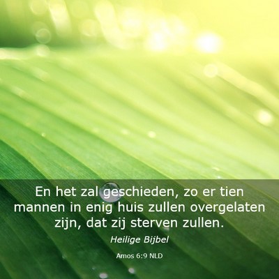 Picture 03 - Amos 6:9 NLD - En het zal geschieden, zo er tien mannen in enig - Bible Verse Picture