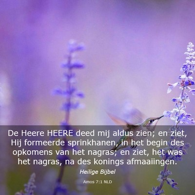 Picture 03 - Amos 7:1 NLD - De Heere HEERE deed mij aldus zien; en ziet, Hij - Bible Verse Picture