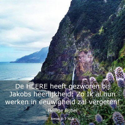 Picture 03 - Amos 8:7 NLD - De HEERE heeft gezworen bij Jakobs heerlijkheid: - Bible Verse Picture