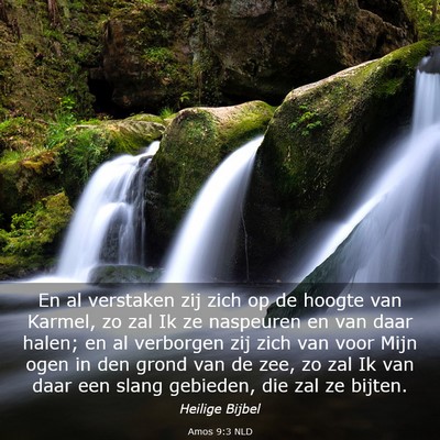 Picture 03 - Amos 9:3 NLD - En al verstaken zij zich op de hoogte van Karmel, - Bible Verse Picture