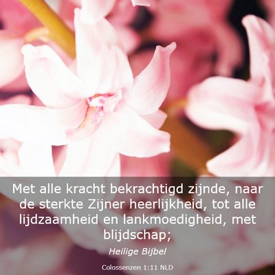 Picture 03 - Colossenzen 1:11 NLD - Met alle kracht bekrachtigd zijnde, naar de - Bible Verse Picture
