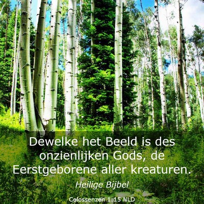 Picture 03 - Colossenzen 1:15 NLD - Dewelke het Beeld is des onzienlijken Gods, de - Bible Verse Picture