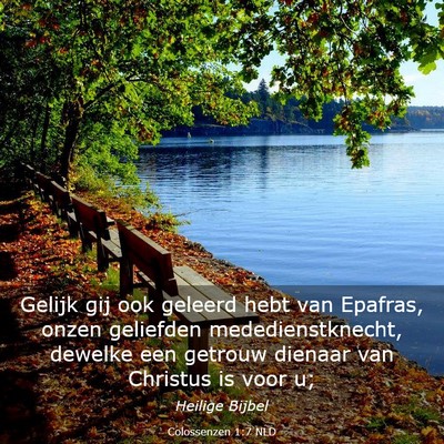 Picture 03 - Colossenzen 1:7 NLD - Gelijk gij ook geleerd hebt van Epafras, onzen - Bible Verse Picture