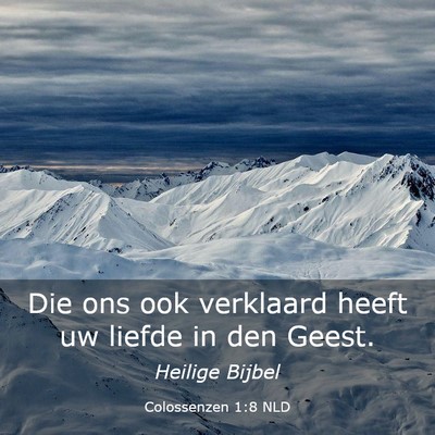 Picture 03 - Colossenzen 1:8 NLD - Die ons ook verklaard heeft uw liefde in den - Bible Verse Picture