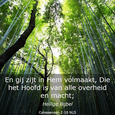 Picture 03 - Colossenzen 2:10 NLD - En gij zijt in Hem volmaakt, Die het Hoofd is van - Bible Verse Picture