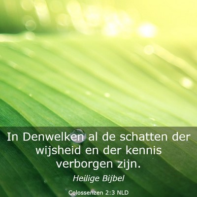 Picture 03 - Colossenzen 2:3 NLD - In Denwelken al de schatten der wijsheid en der - Bible Verse Picture