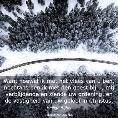Picture 03 - Colossenzen 2:5 NLD - Want hoewel ik met het vlees van u ben, nochtans - Bible Verse Picture