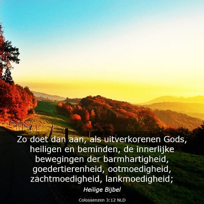 Picture 03 - Colossenzen 3:12 NLD - Zo doet dan aan, als uitverkorenen Gods, heiligen - Bible Verse Picture