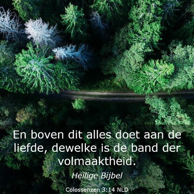 Picture 03 - Colossenzen 3:14 NLD - En boven dit alles doet aan de liefde, dewelke is - Bible Verse Picture