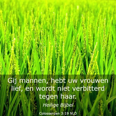 Picture 03 - Colossenzen 3:19 NLD - Gij mannen, hebt uw vrouwen lief, en wordt niet - Bible Verse Picture