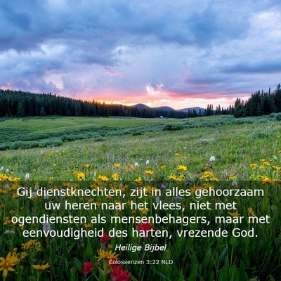 Picture 03 - Colossenzen 3:22 NLD - Gij dienstknechten, zijt in alles gehoorzaam uw - Bible Verse Picture