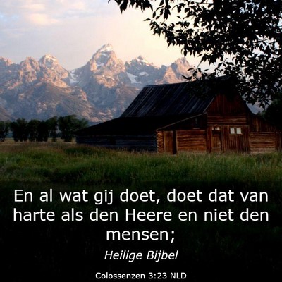 Picture 03 - Colossenzen 3:23 NLD - En al wat gij doet, doet dat van harte als den - Bible Verse Picture