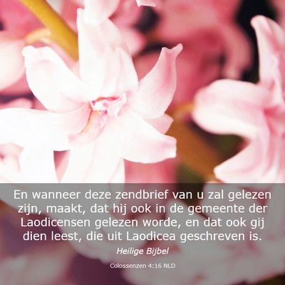 Picture 03 - Colossenzen 4:16 NLD - En wanneer deze zendbrief van u zal gelezen zijn, - Bible Verse Picture