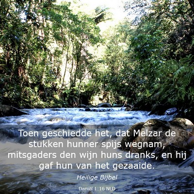 Picture 03 - Daniël 1:16 NLD - Toen geschiedde het, dat Melzar de stukken hunner - Bible Verse Picture