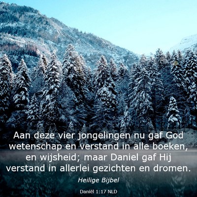 Picture 03 - Daniël 1:17 NLD - Aan deze vier jongelingen nu gaf God wetenschap - Bible Verse Picture