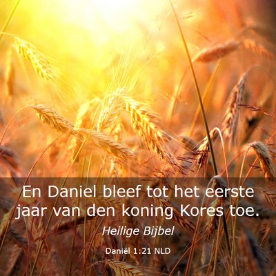 Picture 03 - Daniël 1:21 NLD - En Daniel bleef tot het eerste jaar van den - Bible Verse Picture