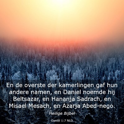 Picture 03 - Daniël 1:7 NLD - En de overste der kamerlingen gaf hun andere - Bible Verse Picture