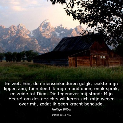 Picture 03 - Daniël 10:16 NLD - En ziet, Een, den mensenkinderen gelijk, raakte - Bible Verse Picture