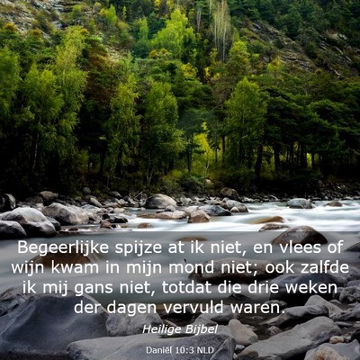 Picture 03 - Daniël 10:3 NLD - Begeerlijke spijze at ik niet, en vlees of wijn - Bible Verse Picture