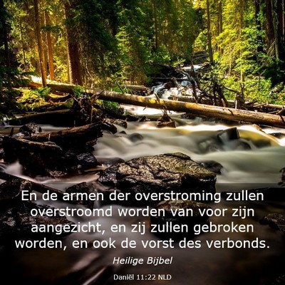 Picture 03 - Daniël 11:22 NLD - En de armen der overstroming zullen overstroomd - Bible Verse Picture