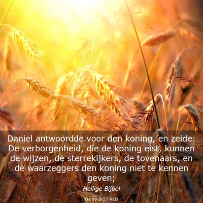 Picture 03 - Daniël 2:27 NLD - Daniel antwoordde voor den koning, en zeide: De - Bible Verse Picture