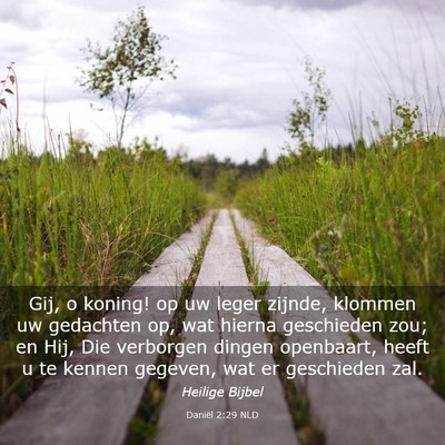 Picture 03 - Daniël 2:29 NLD - Gij, o koning! op uw leger zijnde, klommen uw - Bible Verse Picture