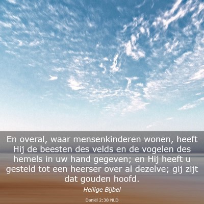 Picture 03 - Daniël 2:38 NLD - En overal, waar mensenkinderen wonen, heeft Hij - Bible Verse Picture