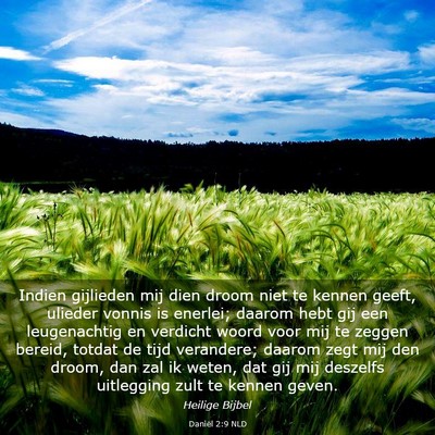 Picture 03 - Daniël 2:9 NLD - Indien gijlieden mij dien droom niet te kennen - Bible Verse Picture