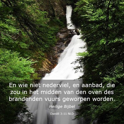 Picture 03 - Daniël 3:11 NLD - En wie niet nederviel, en aanbad, die zou in het - Bible Verse Picture