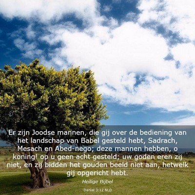 Picture 03 - Daniël 3:12 NLD - Er zijn Joodse mannen, die gij over de bediening - Bible Verse Picture