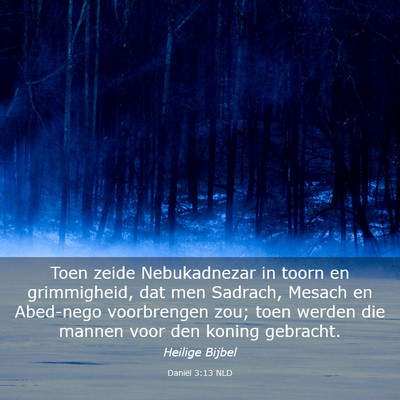 Picture 03 - Daniël 3:13 NLD - Toen zeide Nebukadnezar in toorn en grimmigheid, - Bible Verse Picture