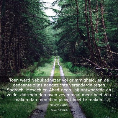 Picture 03 - Daniël 3:19 NLD - Toen werd Nebukadnezar vol grimmigheid, en de - Bible Verse Picture