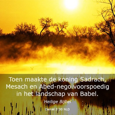 Picture 03 - Daniël 3:30 NLD - Toen maakte de koning Sadrach, Mesach en - Bible Verse Picture