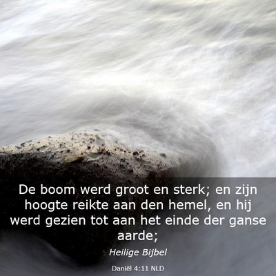 Picture 03 - Daniël 4:11 NLD - De boom werd groot en sterk; en zijn hoogte - Bible Verse Picture